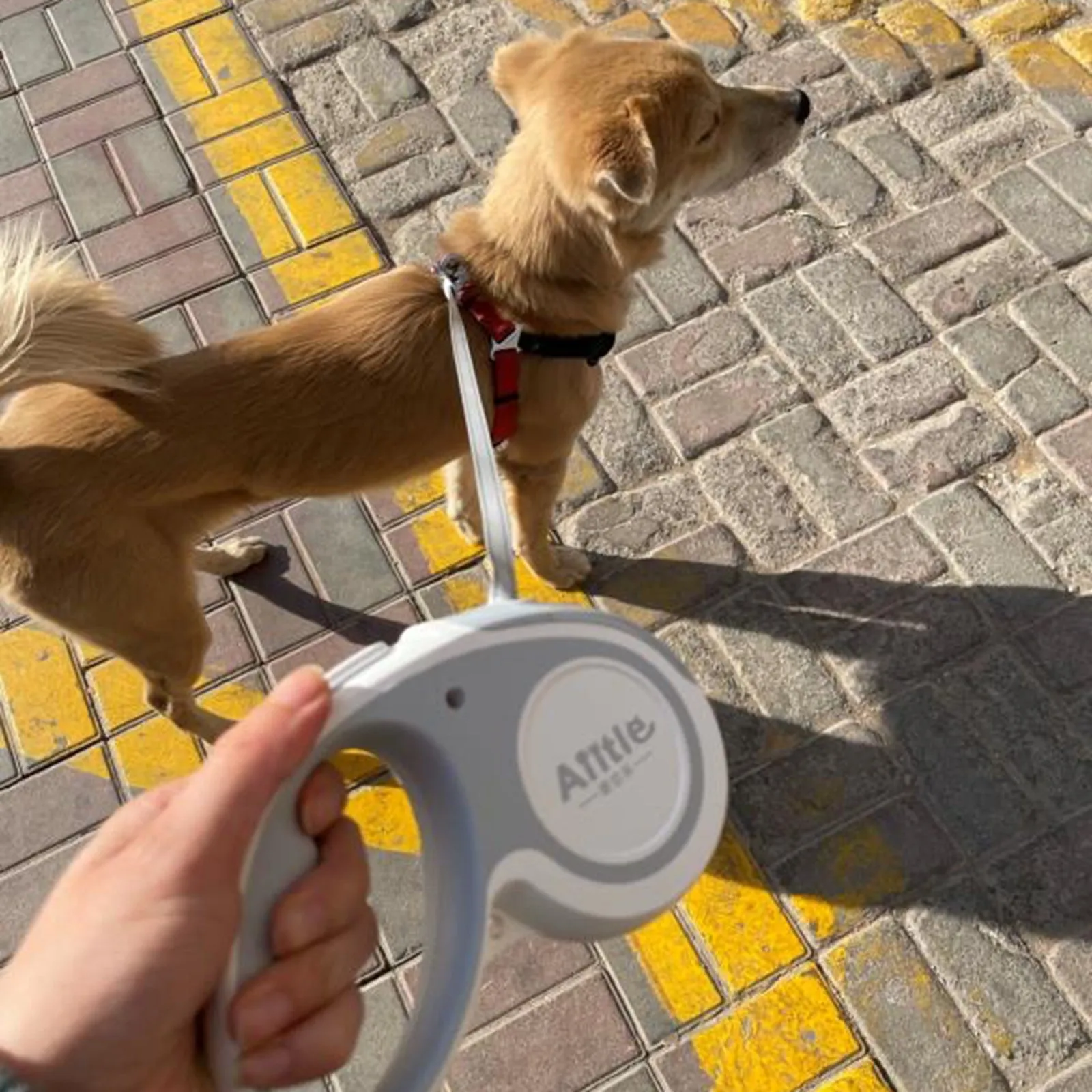 Aiitle Easy Lock Retractable Dog Leash White
