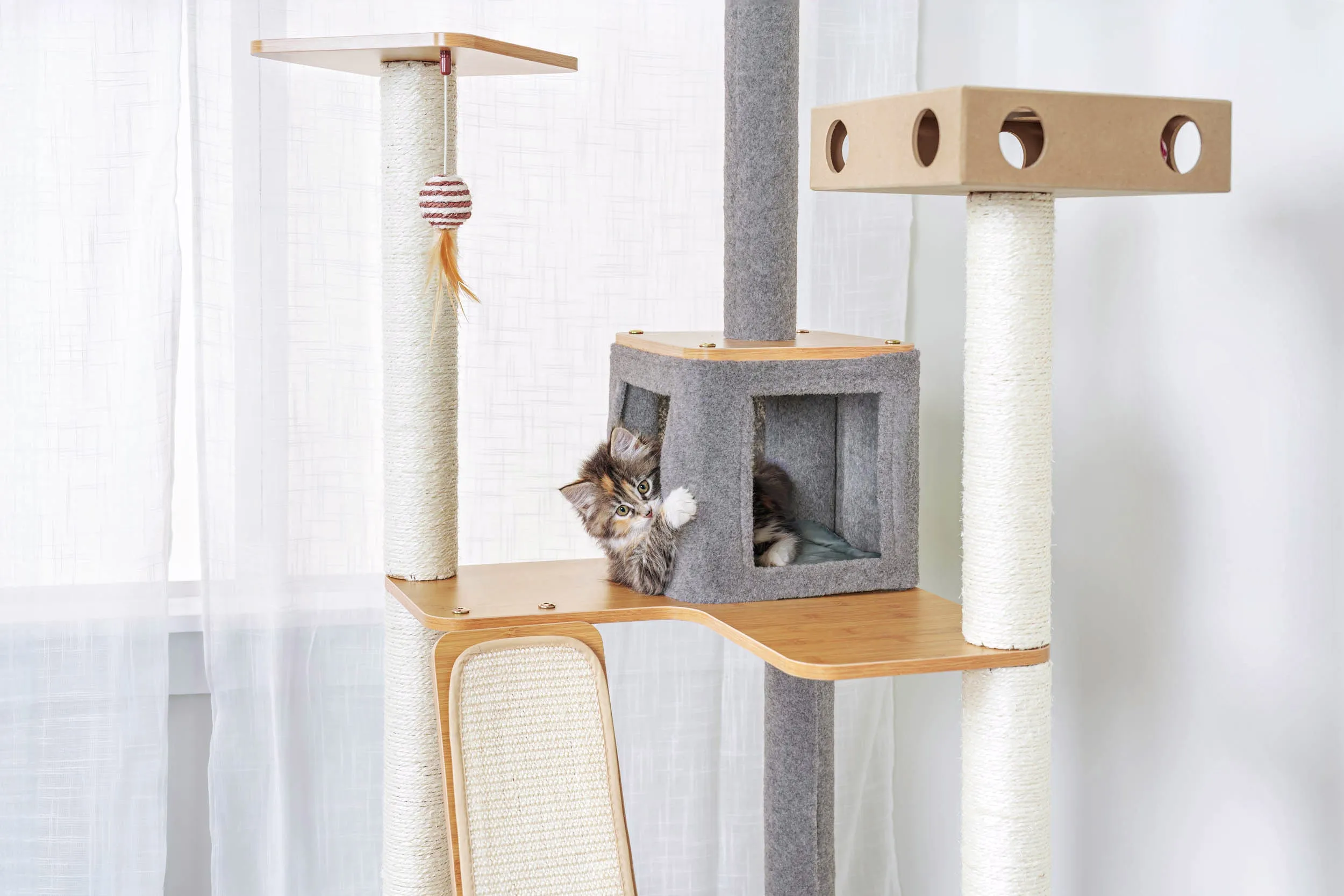 Ascentials by FurHaven Royal Suite Cat Tower (68”), Multi-Level Indoor Cat Tree