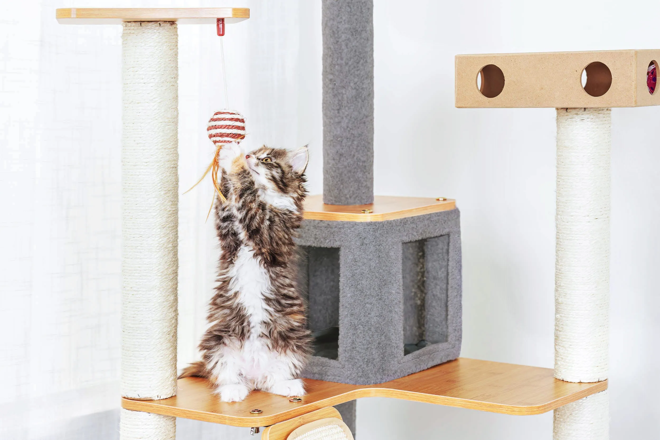 Ascentials by FurHaven Royal Suite Cat Tower (68”), Multi-Level Indoor Cat Tree