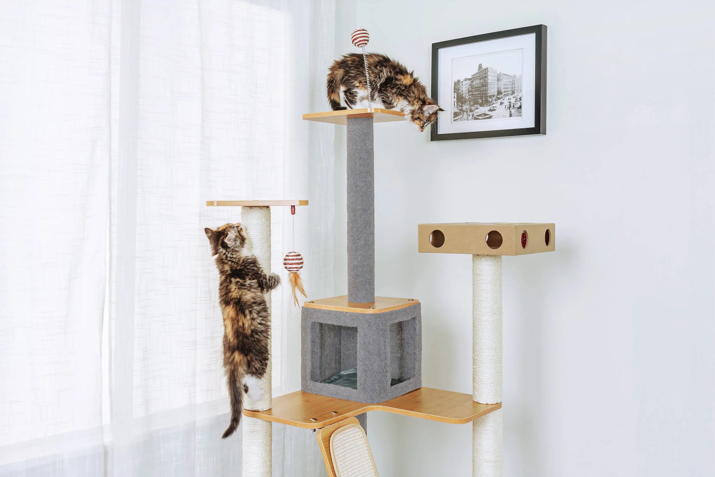 Ascentials by FurHaven Royal Suite Cat Tower (68”), Multi-Level Indoor Cat Tree