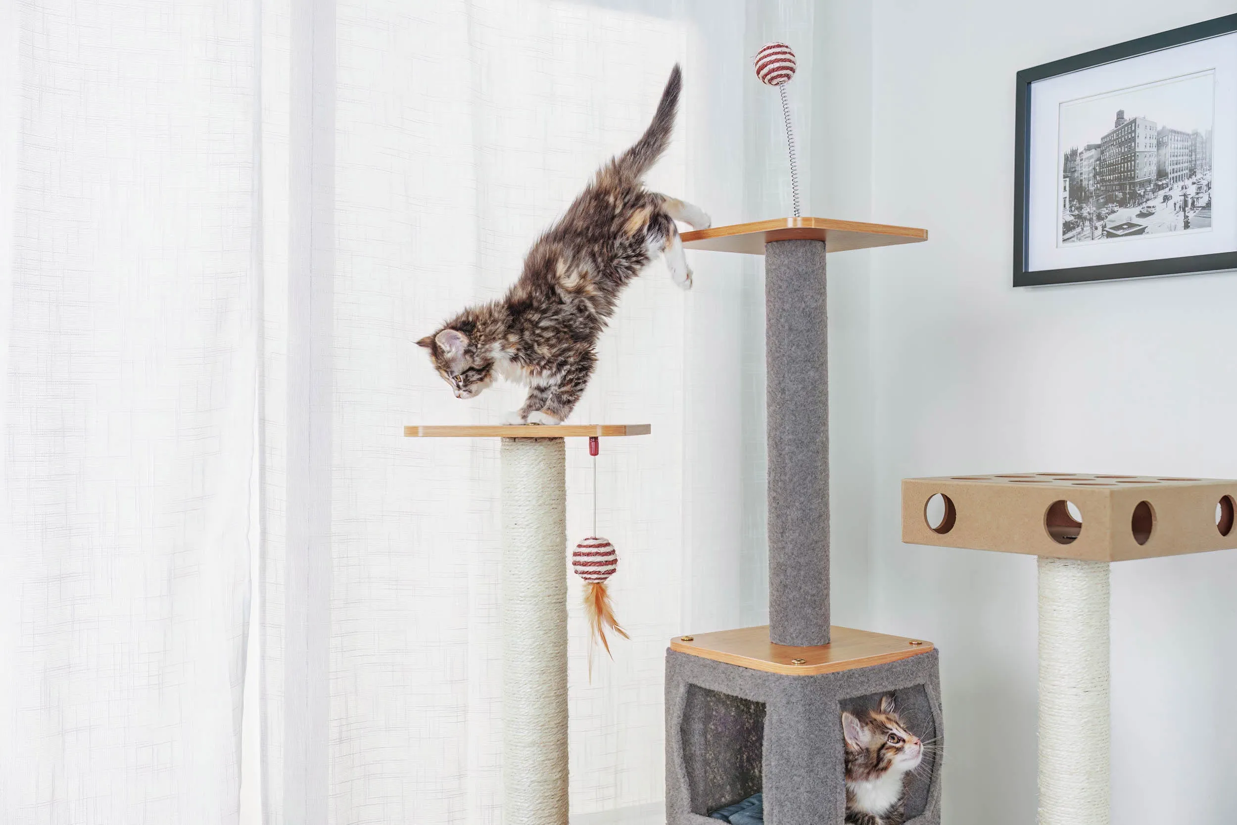 Ascentials by FurHaven Royal Suite Cat Tower (68”), Multi-Level Indoor Cat Tree