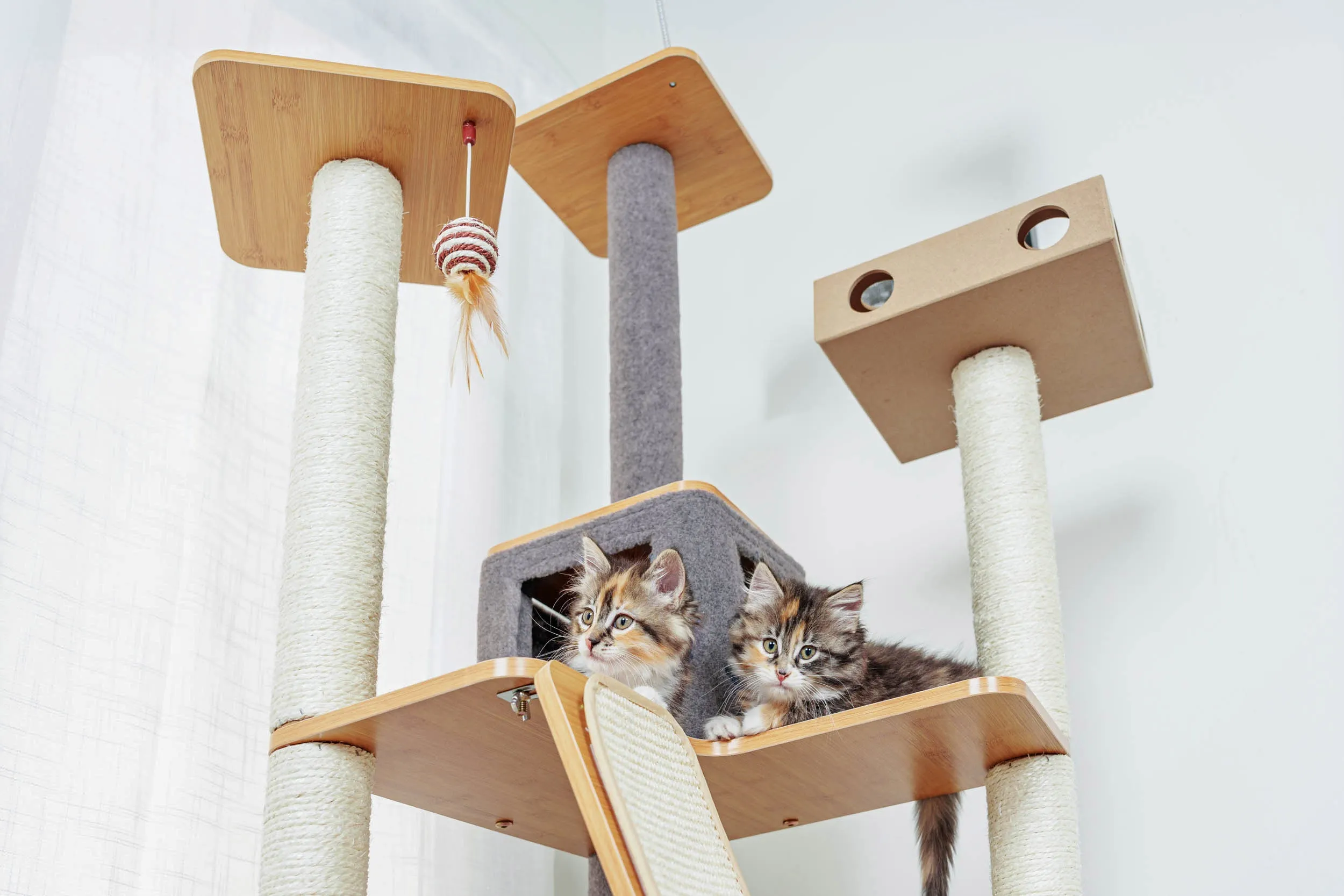 Ascentials by FurHaven Royal Suite Cat Tower (68”), Multi-Level Indoor Cat Tree