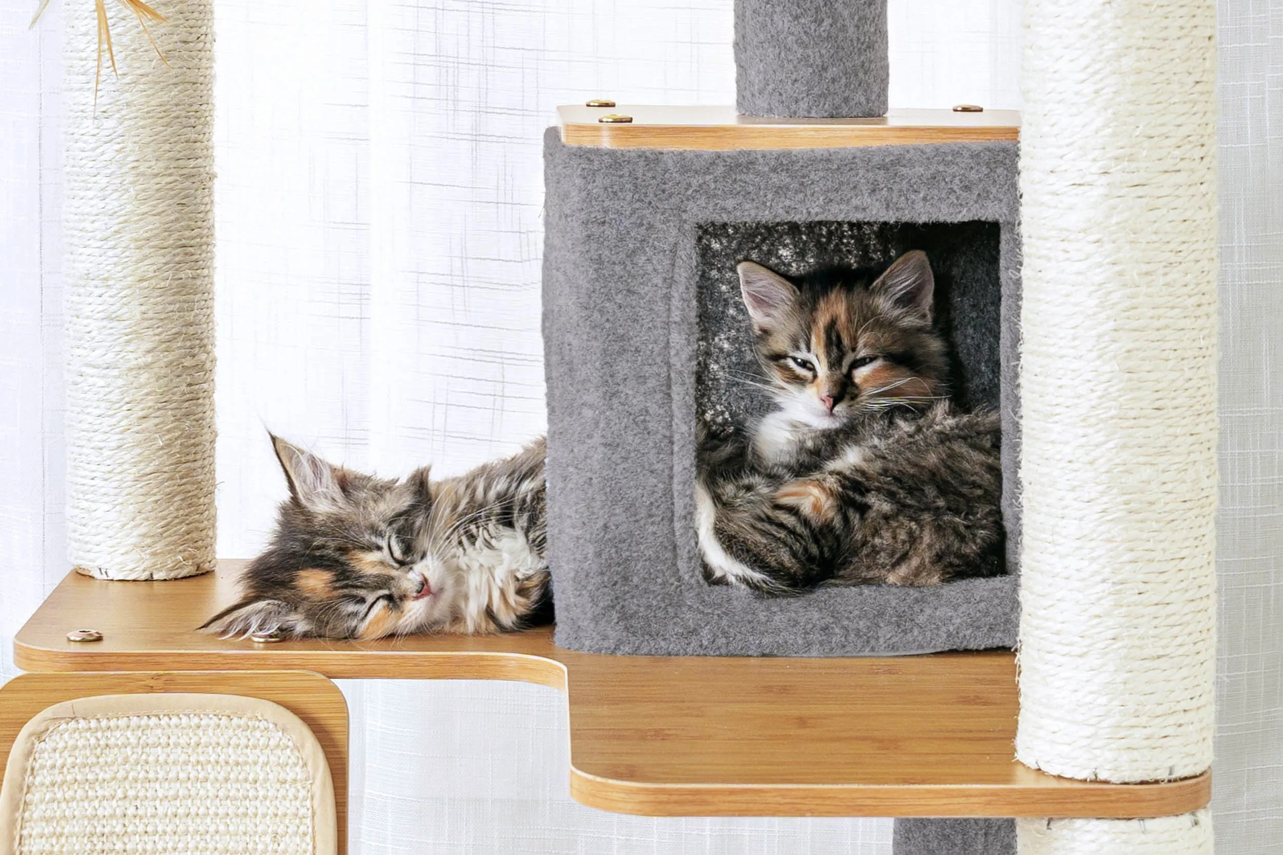 Ascentials by FurHaven Royal Suite Cat Tower (68”), Multi-Level Indoor Cat Tree