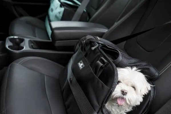 Atom Dog Carrier