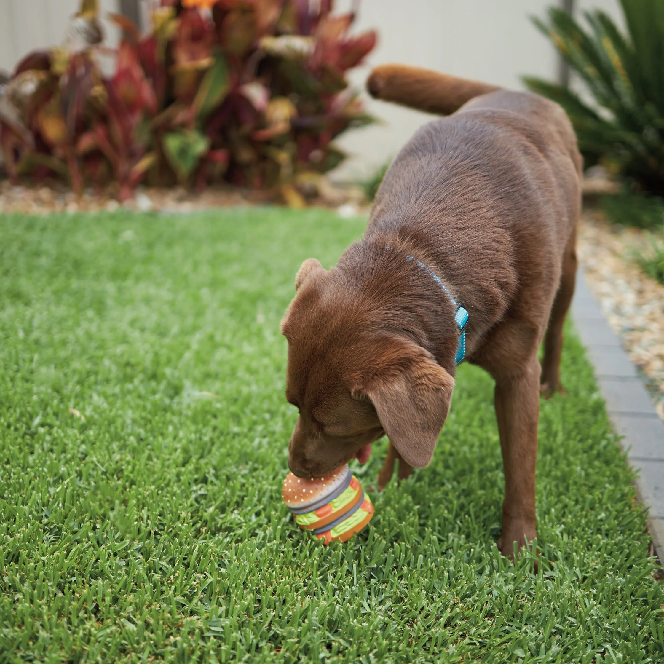 Beefy Burger Squeaky Dog Toy