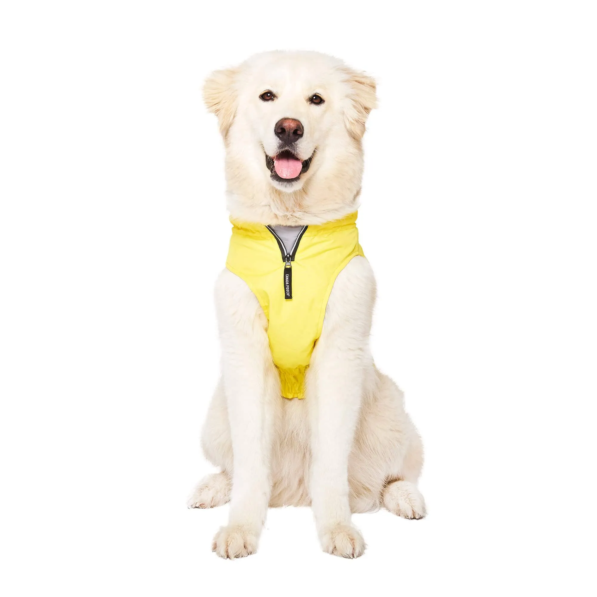 Canada Pooch Grow with Me Dog Raincoat - Yellow