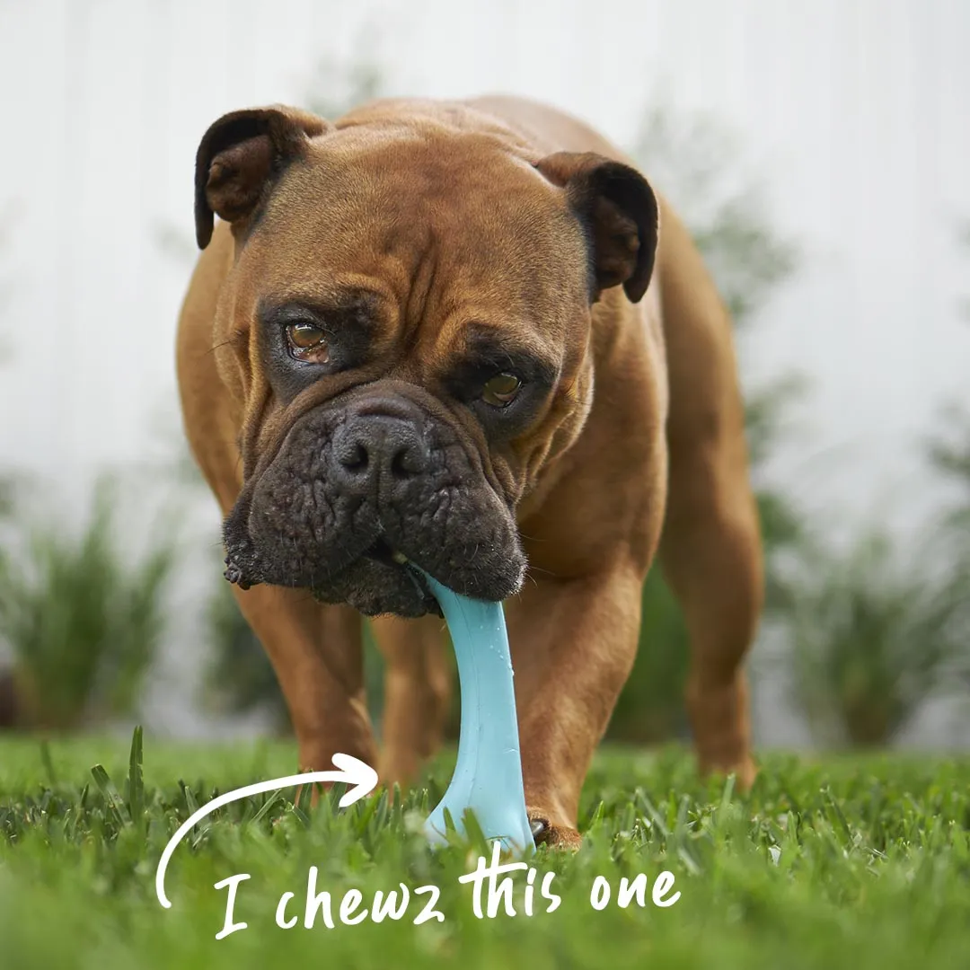 Catch N' Chew Dog Rubber Bone