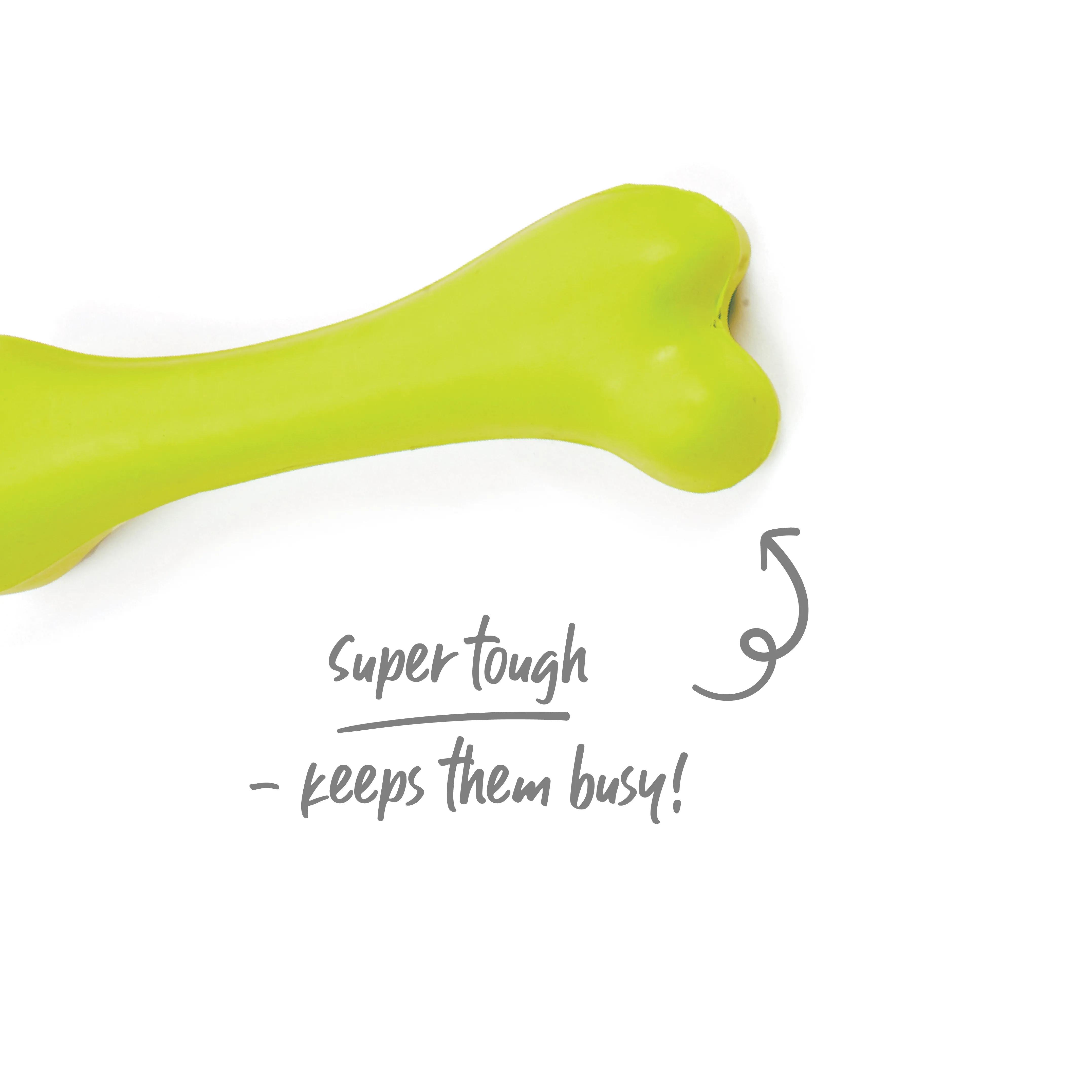 Catch N' Chew Dog Rubber Bone