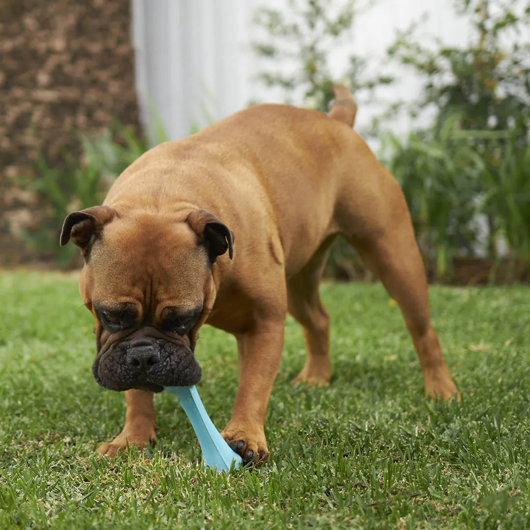 Catch N' Chew Dog Rubber Bone
