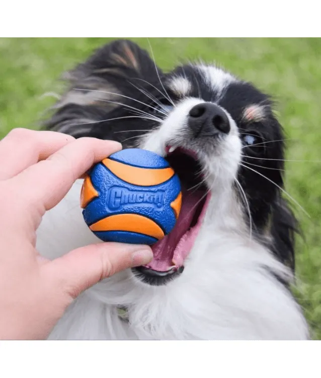 Chuckit! Ultra Squeaker Ball Pack Of 2
