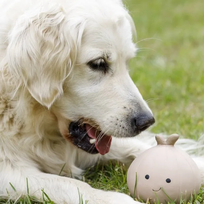Foodie Faces Latex Onion Dog Toy