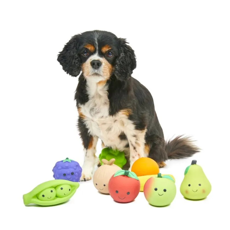 Foodie Faces Latex Onion Dog Toy