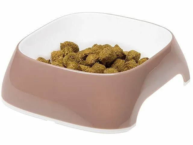 Glam Xs Dove Gray Bowl