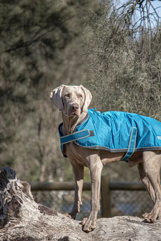 Huskimo Dog Coat - Odour Free Summit - Bells Beach (60cm)