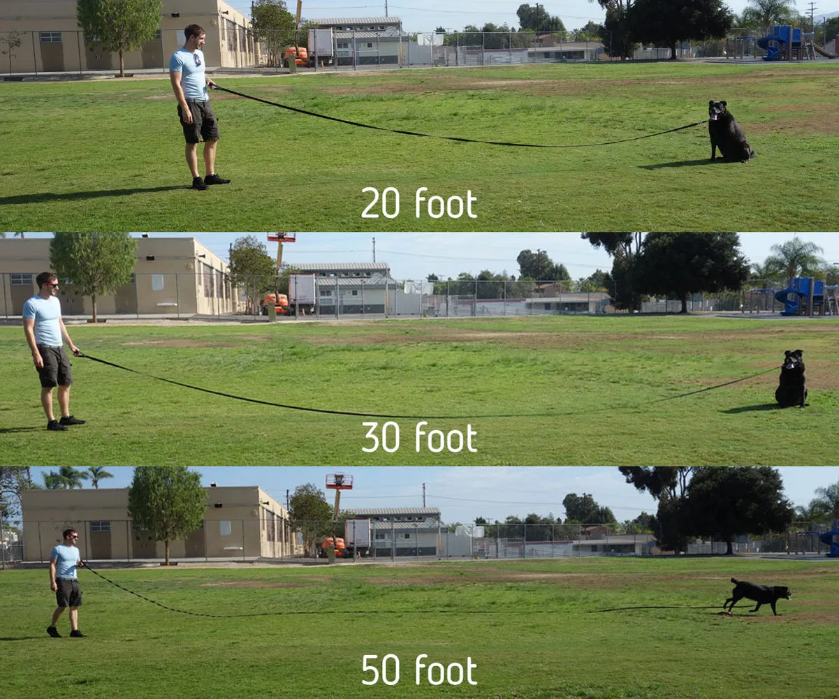 Long Trainer - 50 Foot 3/4 Inch Lead - Nylon Dog Training Leash with Storage Strap