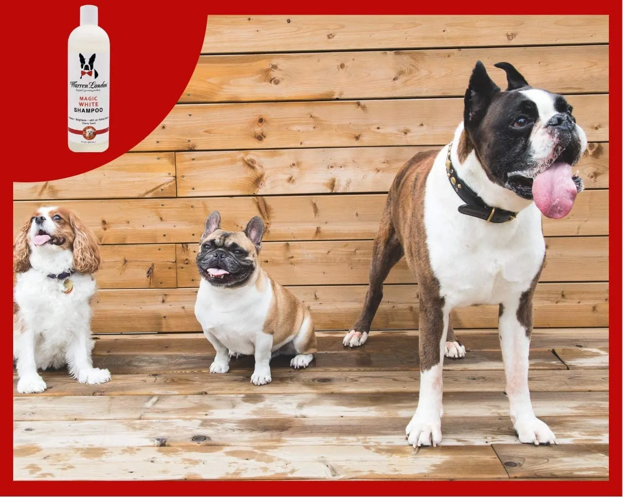 Magic White Brightening Dog Shampoo - Cherry Scented