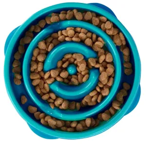 Outward Hound Fun/Slow Feeder for Dogs (Teal)
