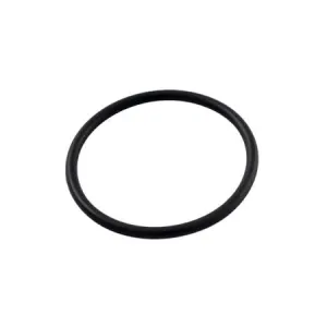 Pentair O-Ring for Diverter Tee - R172319