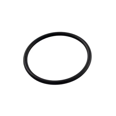 Pentair O-Ring for Diverter Tee - R172319