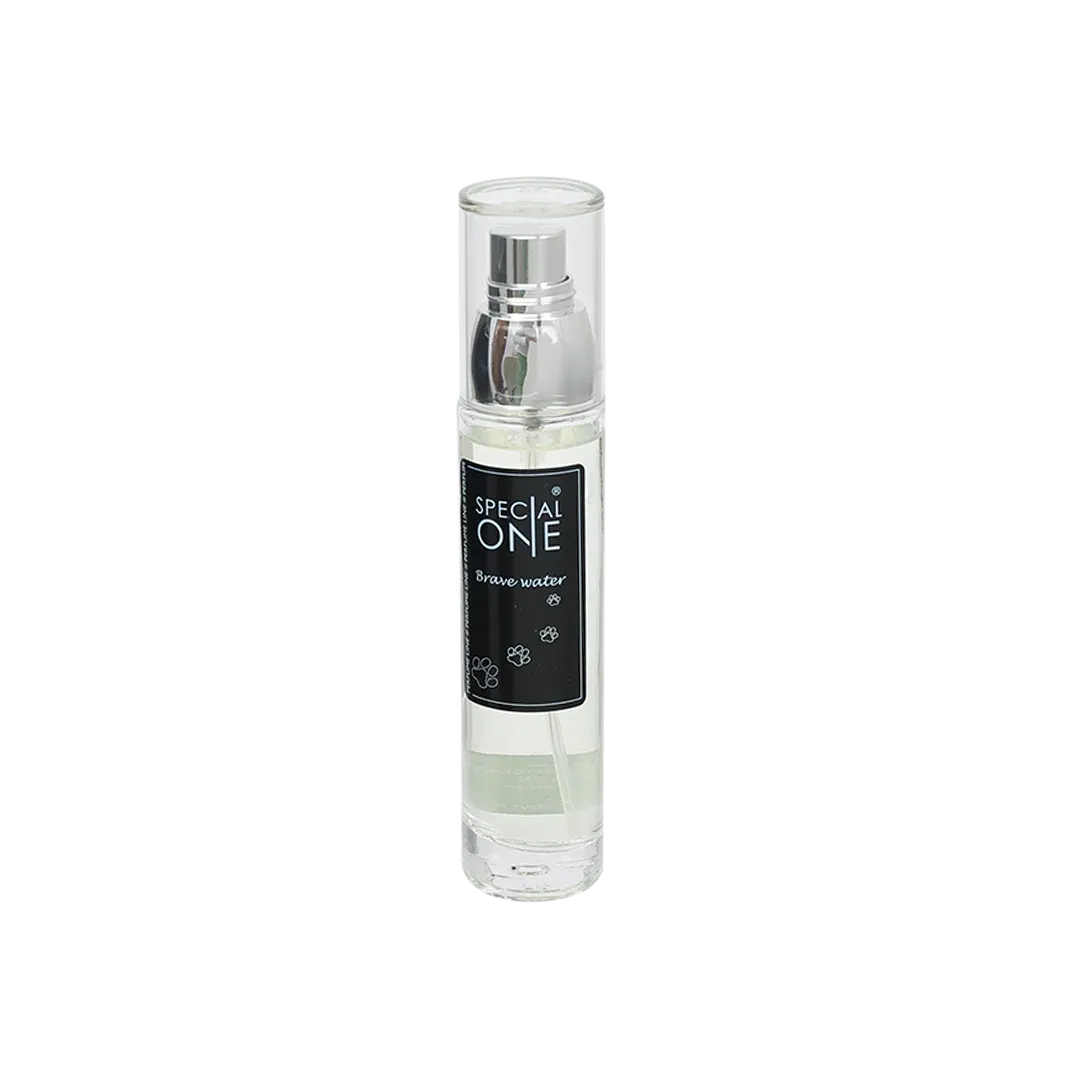 Perfume Brave Water 50 ml by Special One