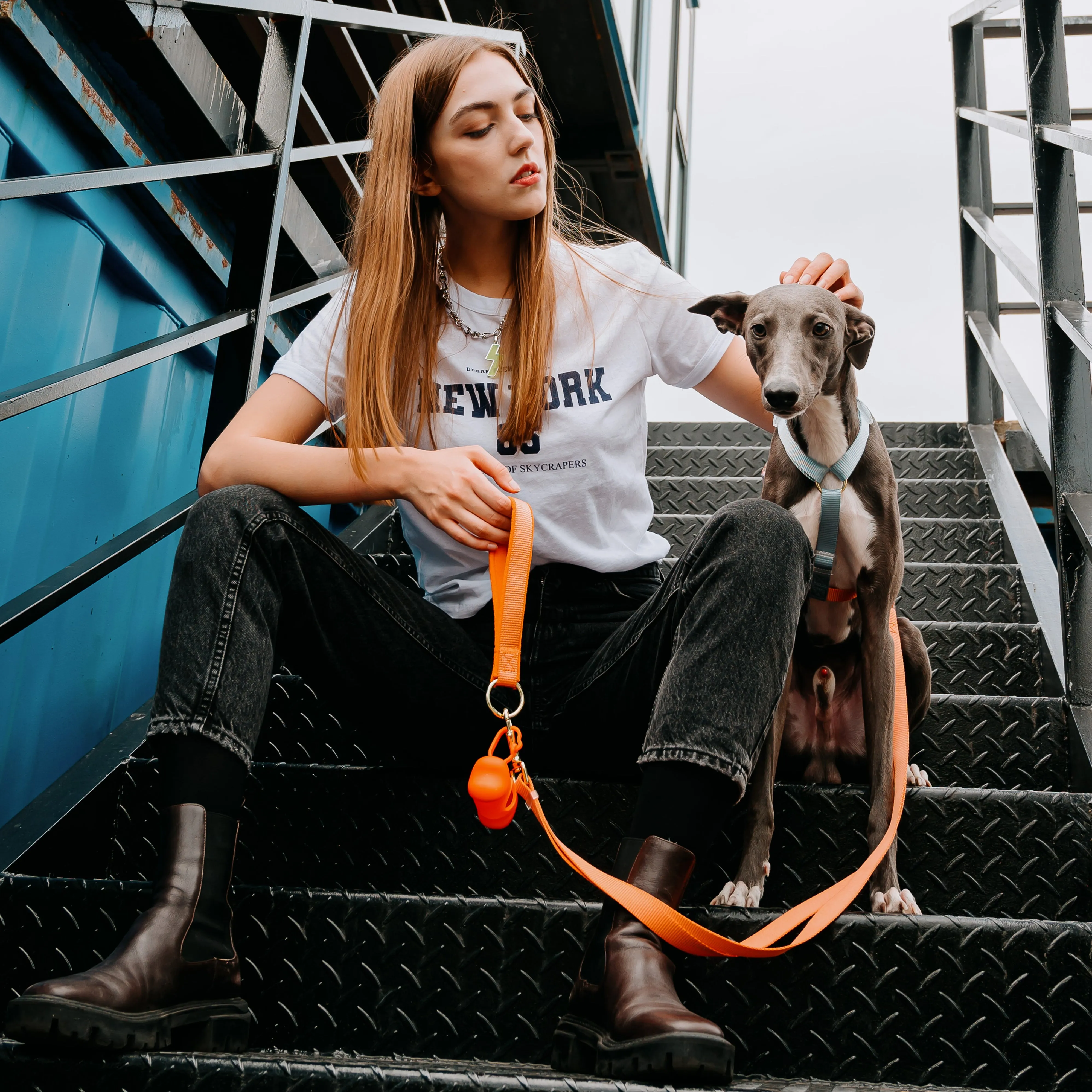 Rainbow Woven Double Ended Dog Leash