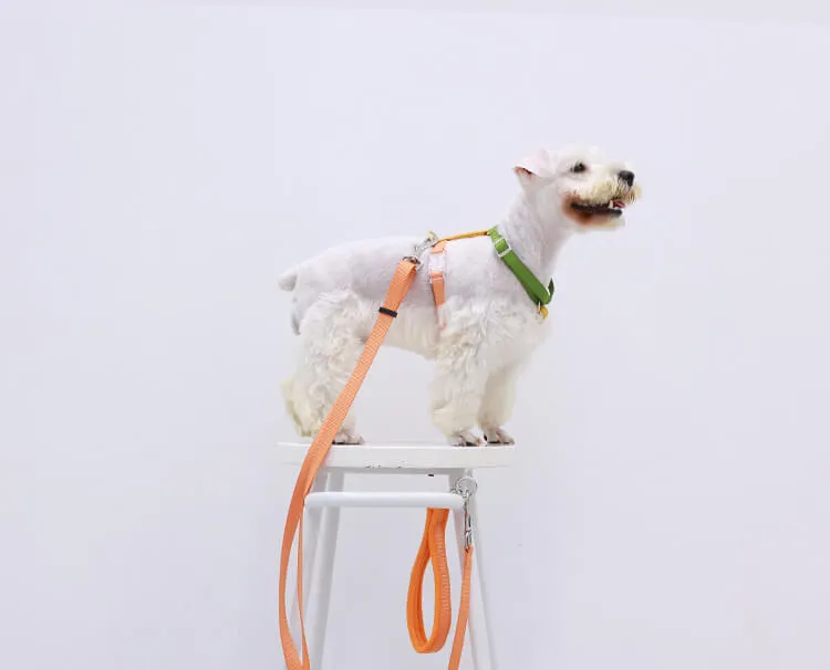 Rainbow Woven Double Ended Dog Leash