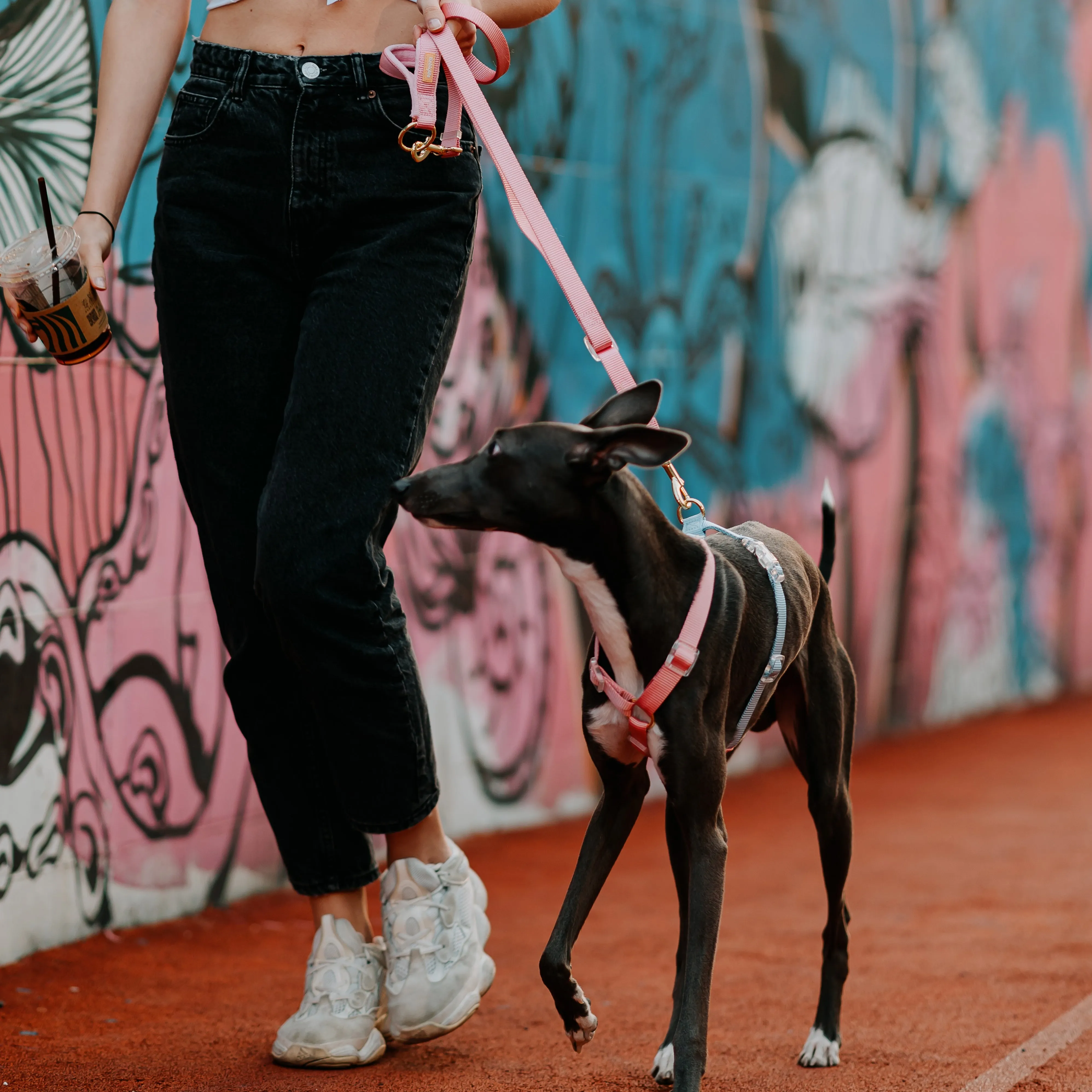 Rainbow Woven Double Ended Dog Leash