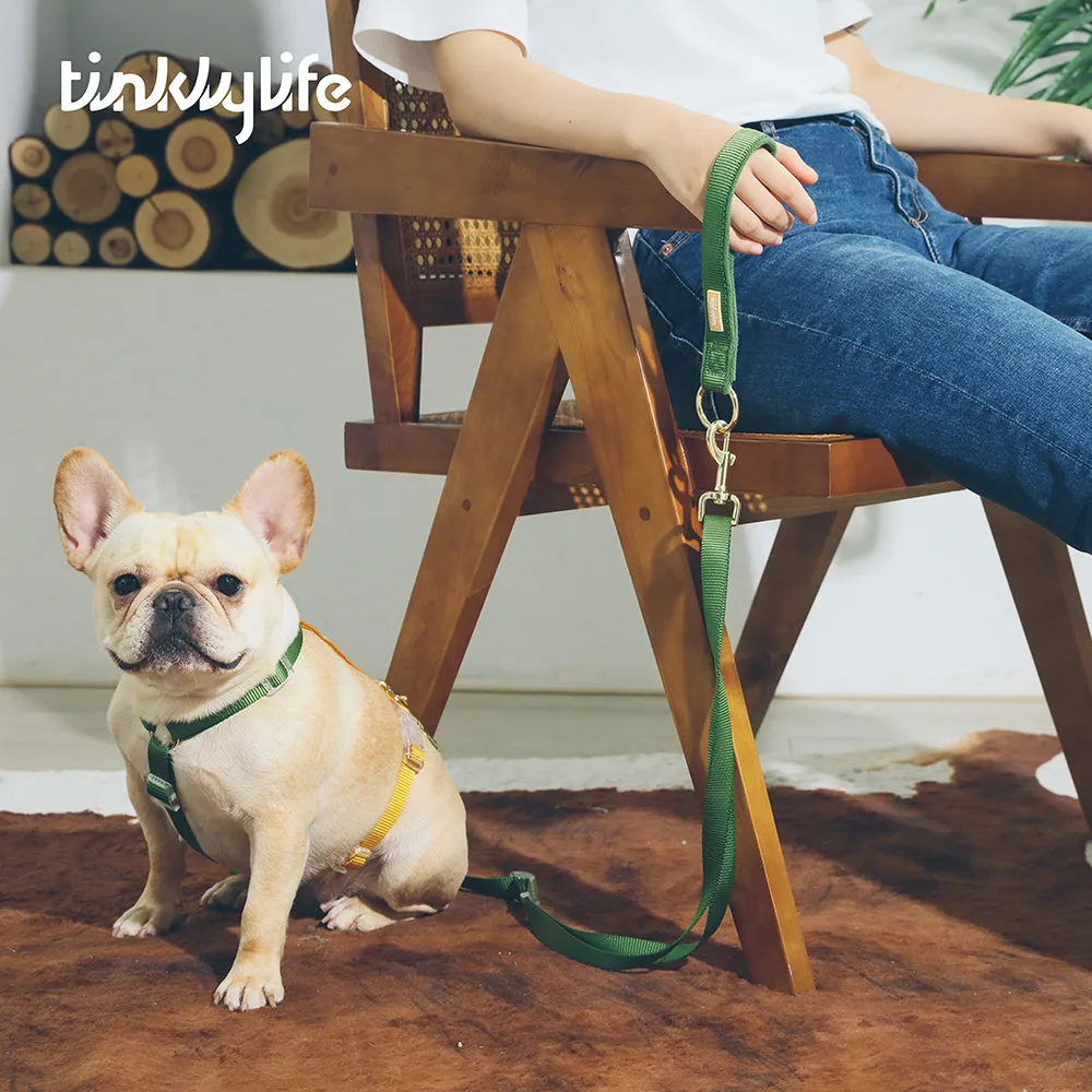 Rainbow Woven Double Ended Dog Leash