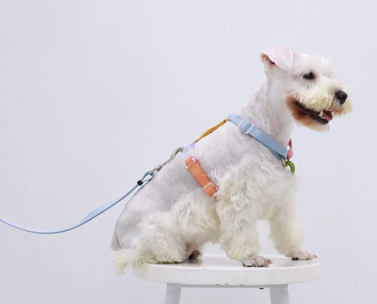 Rainbow Woven Double Ended Dog Leash