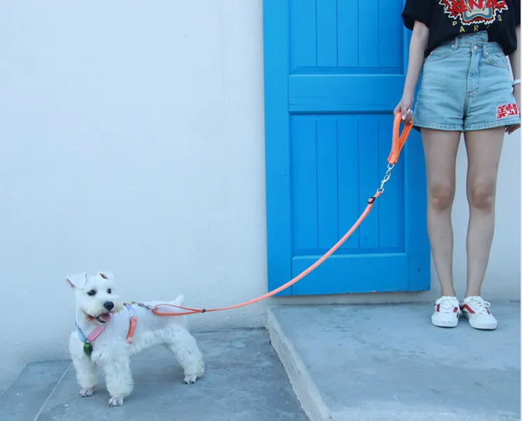 Rainbow Woven Double Ended Dog Leash