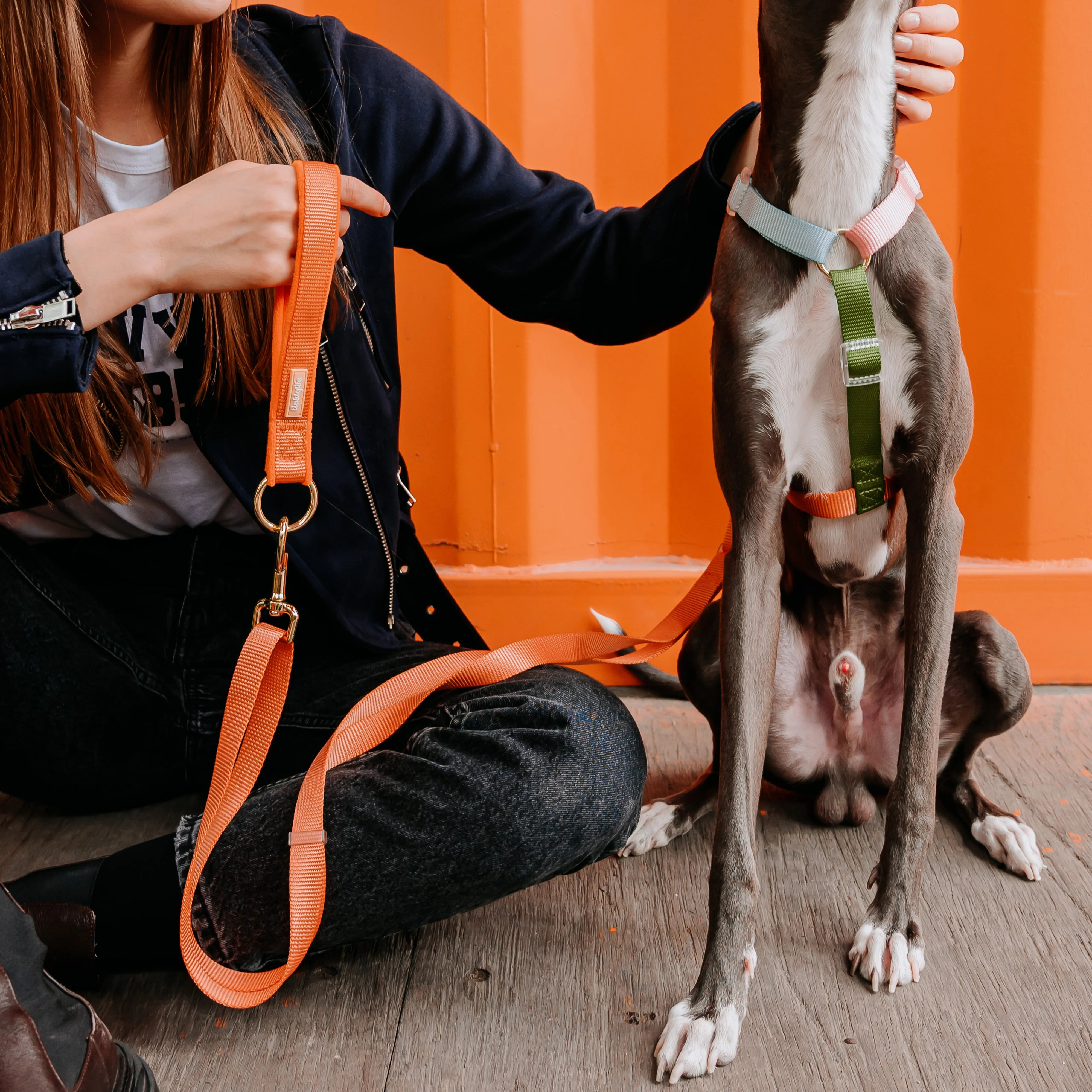 Rainbow Woven Double Ended Dog Leash