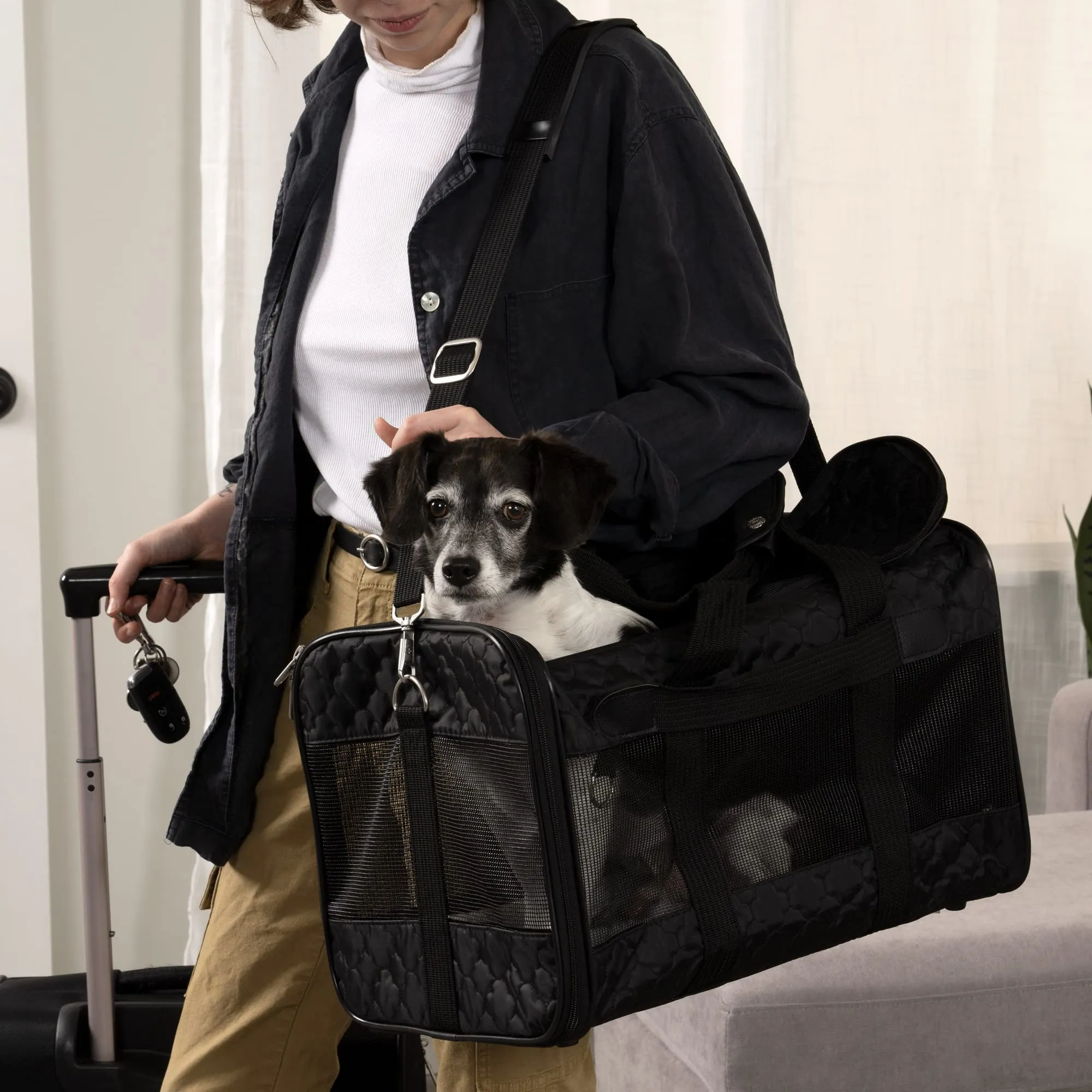 Sherpa Original Deluxe Airline Approved Travel Pet Carrier - Black - Small