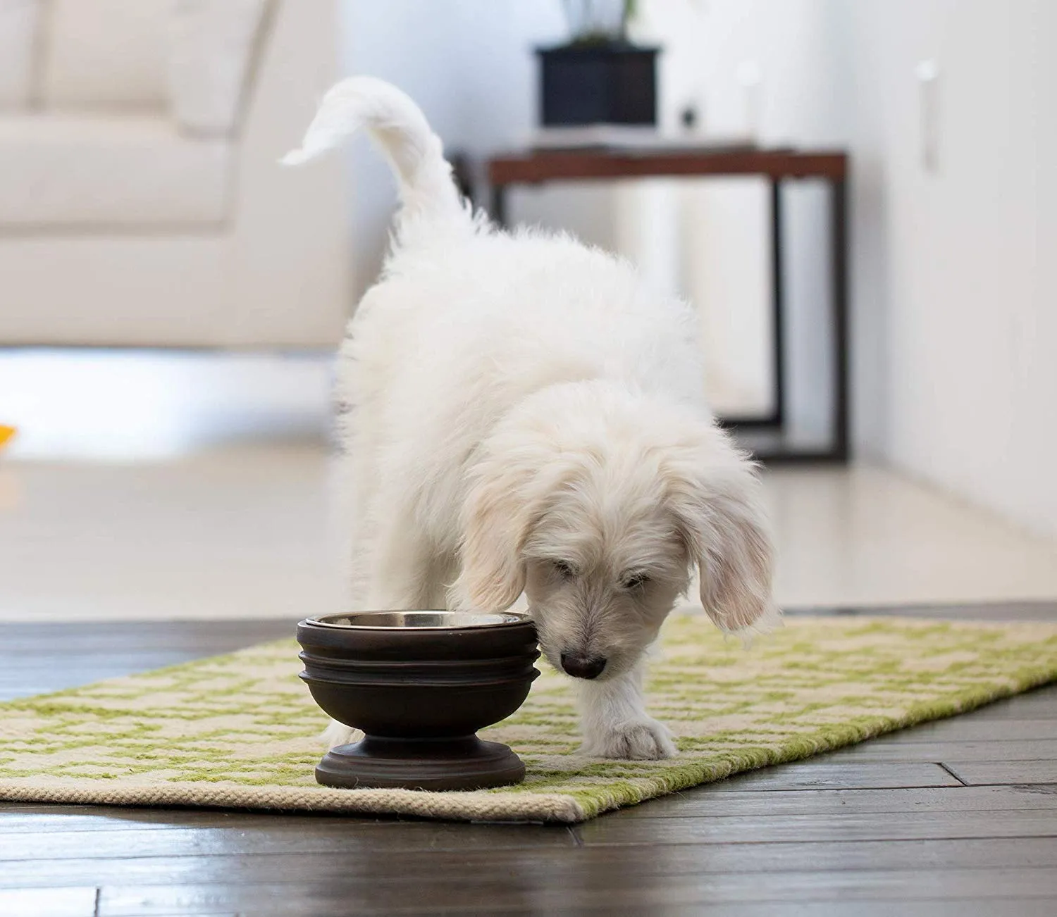 Summit Elevated Dog Bowl (OPEN BOX)