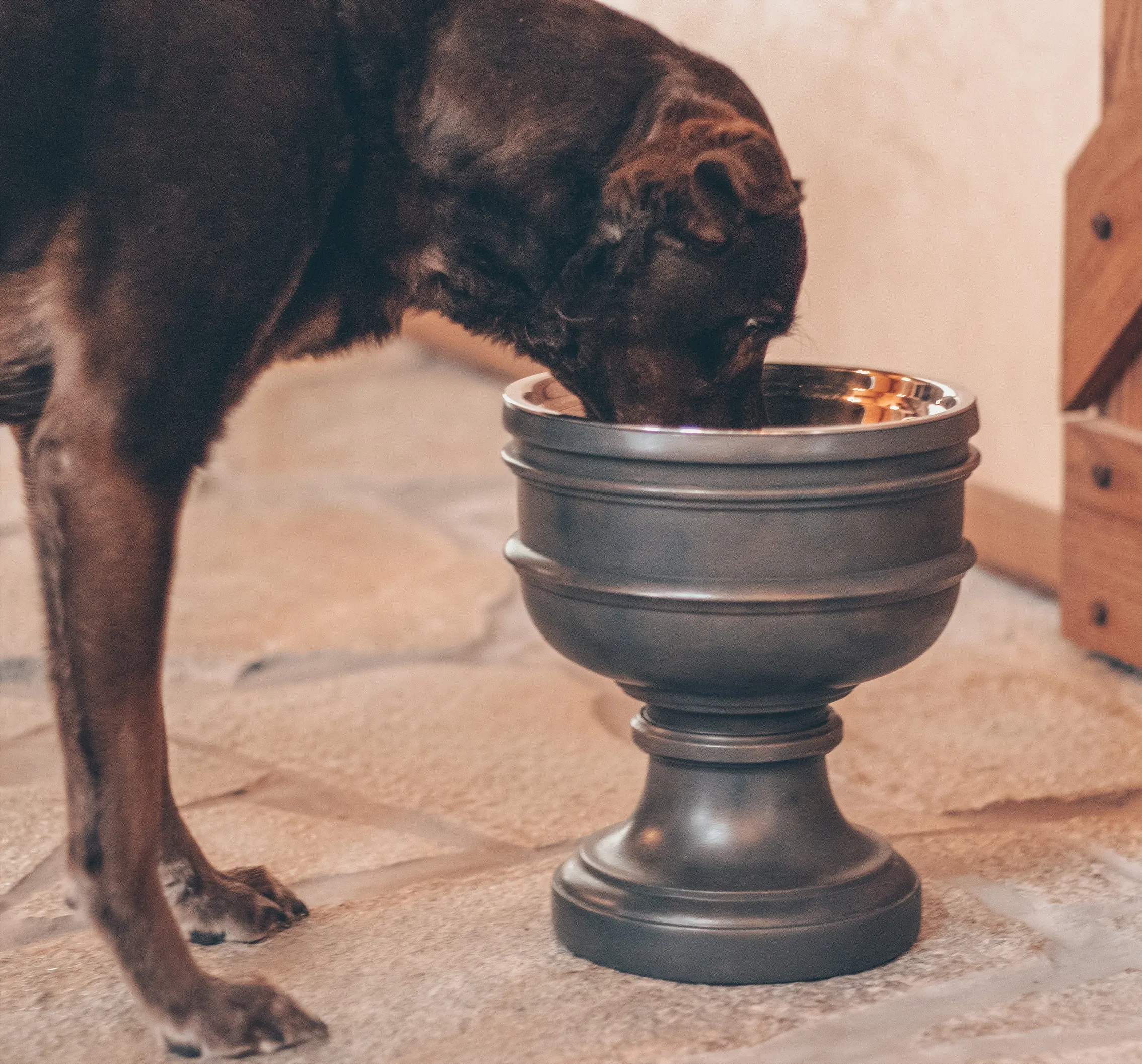 Summit Elevated Dog Bowl (OPEN BOX)