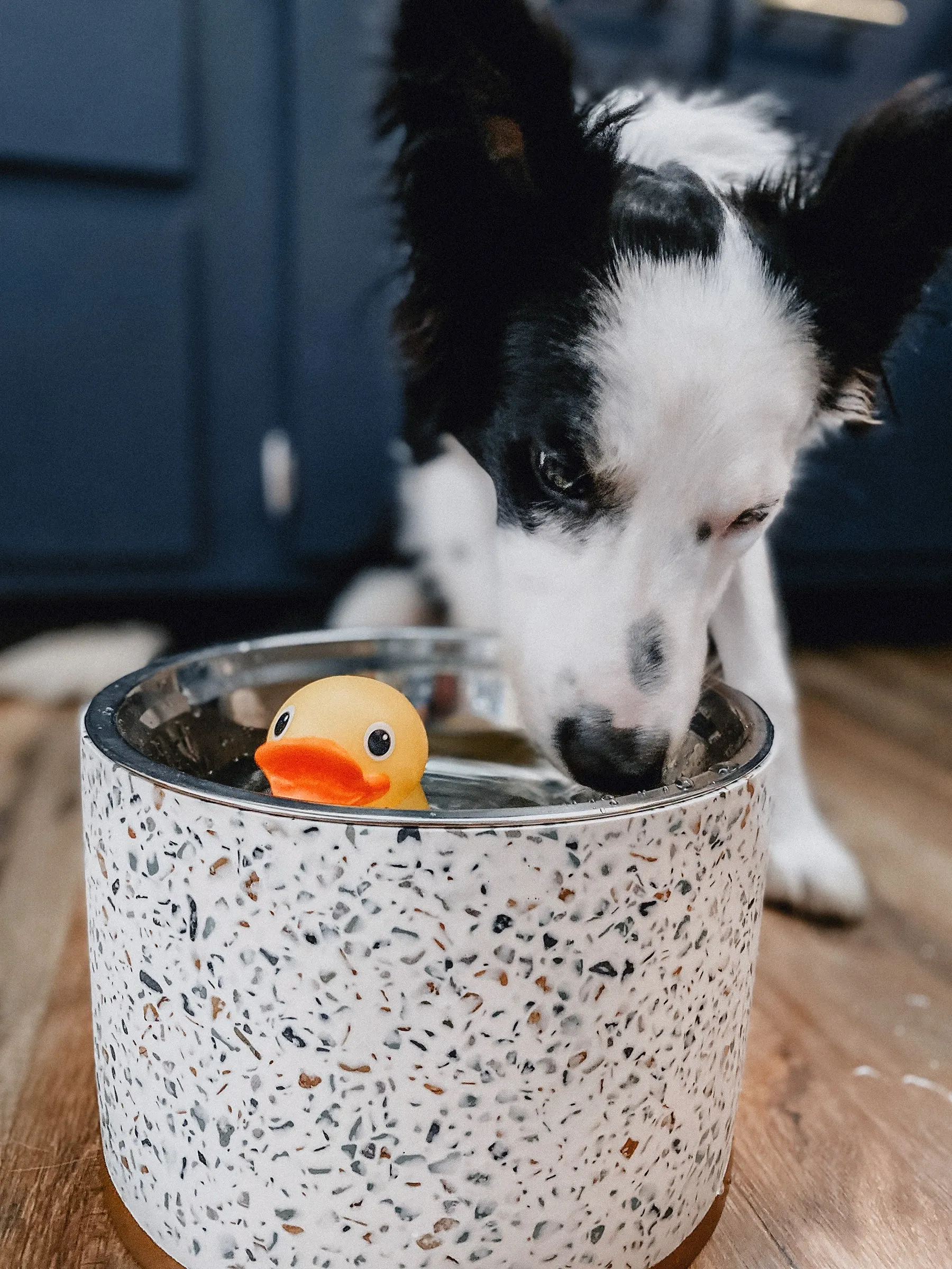 Terrazzo Elevated Dog Bowl (OPEN BOX)