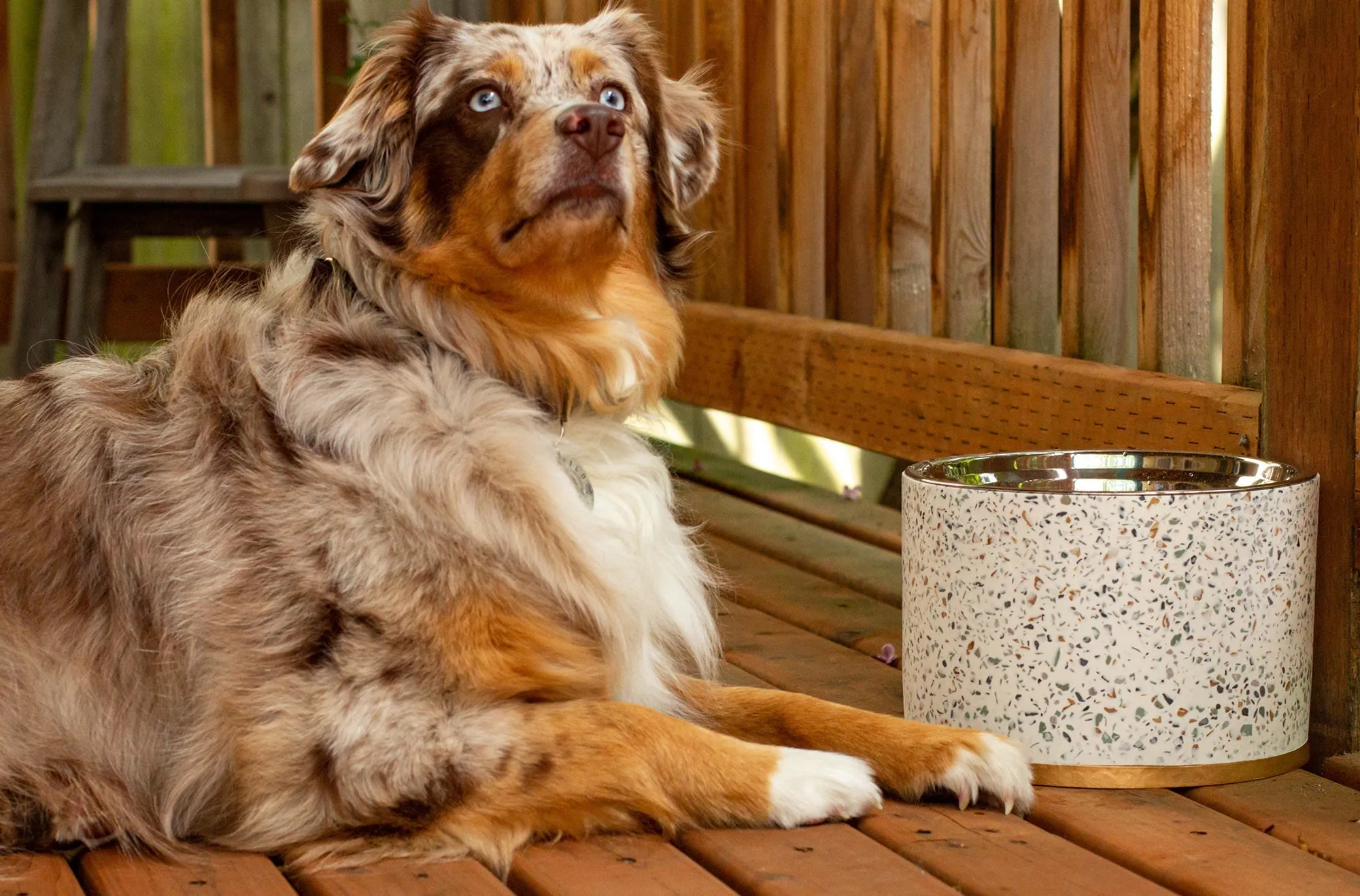 Terrazzo Elevated Dog Bowl (OPEN BOX)